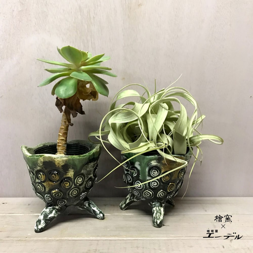 陶芸作家 安在健一 檜窯別注当店オリジナル陶器鉢『轟』・・・緑色