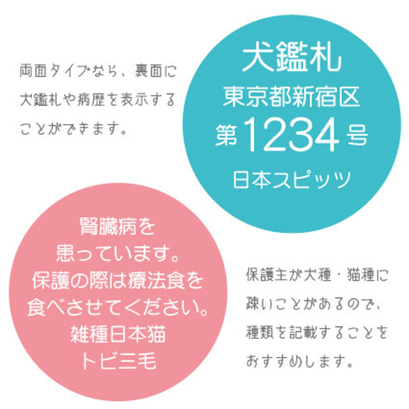 うちのこ似顔絵迷子札　犬 猫 迷子札 オーダーメイド 防水仕様あり 両面タイプで犬鑑札をデザインも可能 3枚目の画像