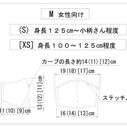 裏メッシュ(全サイズ)☆4７番　ペールミント　立体マスク　 6枚目の画像