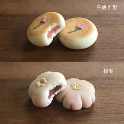 桜あんぱん 1枚目の画像