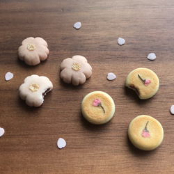 桜あんぱん 3枚目の画像