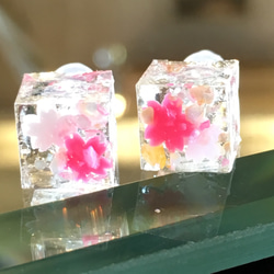 氷の中の桜吹雪ピアス 1枚目の画像