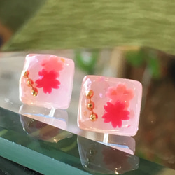 和菓子の様な桜モチーフピアス 1枚目の画像