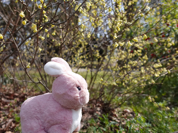 花かんむりをつけたうさぎ　ももぴょん 5枚目の画像