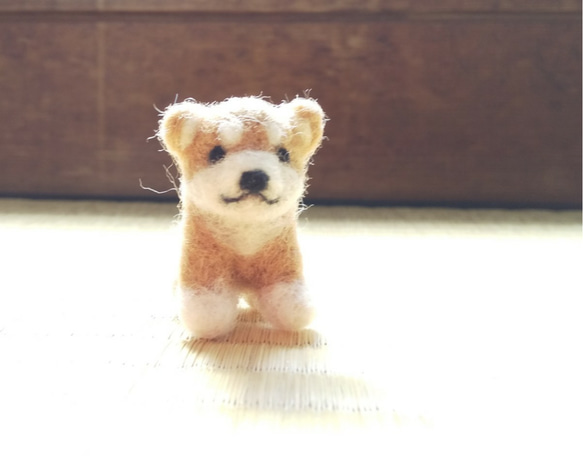 受注制作 ほんわか柴犬(小さな仲間達) 羊毛フェルト fuwamofu maisan