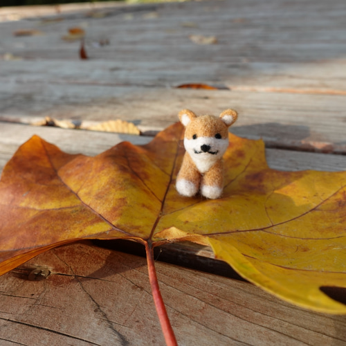受注制作 ほんわか柴犬(小さな仲間達) 羊毛フェルト fuwamofu maisan