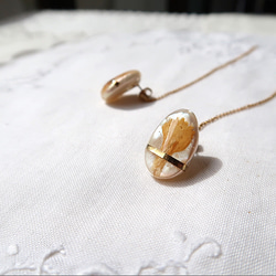 - antique botanical pearl -  オーバルピアス（コスモス×ゴールドライン) 4枚目の画像