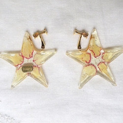 - ★-Earrings（Cosmos） 第3張的照片