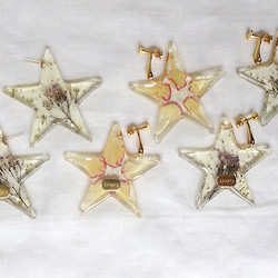 - ★-Earrings（Cosmos） 第4張的照片