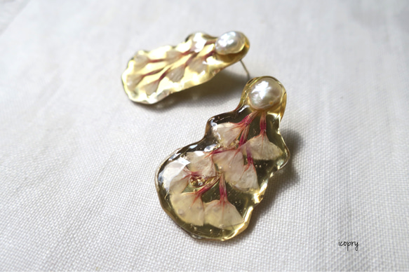 -   pressed flower  -  ピアス（ゴールド×ピンクグラデスターチス）no.1184 3枚目の画像