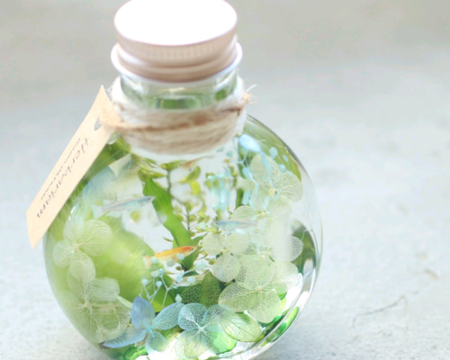 1_fc194b31f6e48c053f83e537750b