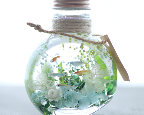 固まるハーバリウム ねこの中のお花畑 固まるハーバリウム ねこの中のお花畑