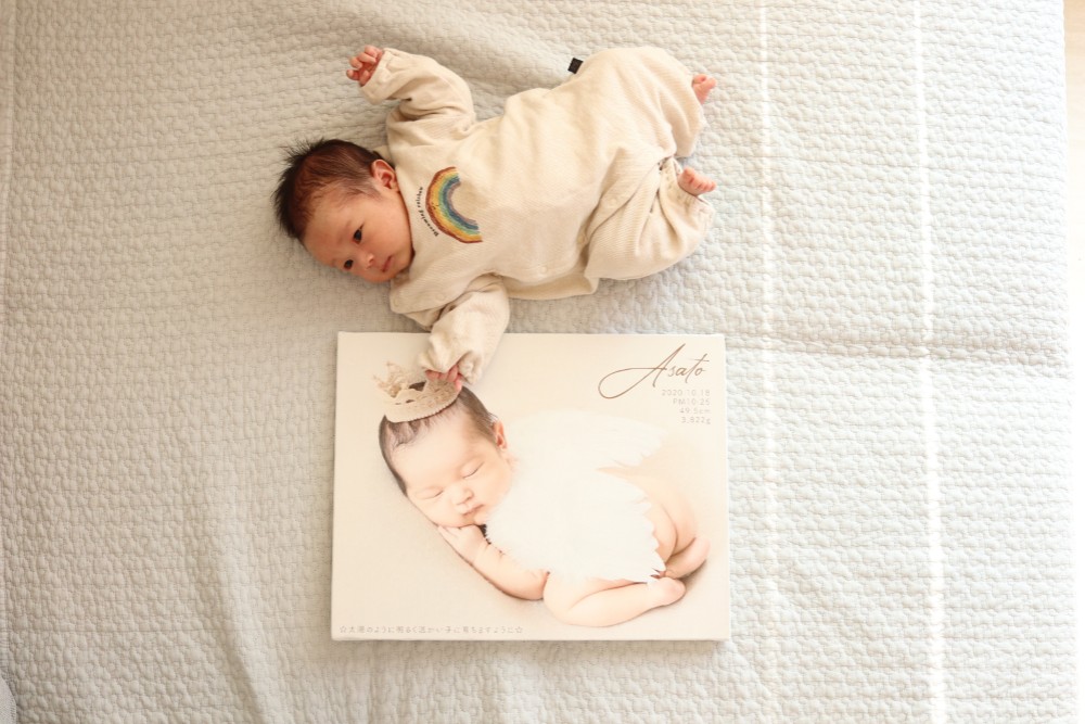 "ほぼ"1/1フォトパネル　LLキャンバス　[CVWF626]