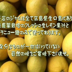 無農薬しまなみレモン使用‼無添加不知火のマーマレード♪ 7枚目の画像