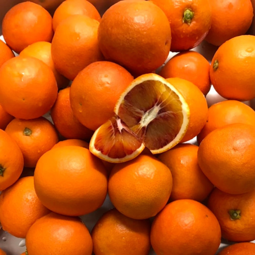 国産ブラッドオレンジジャム♪広島県生口島産、無農薬栽培 ジャム