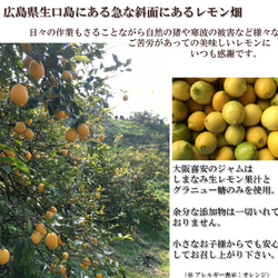 国産ブラッドオレンジジャム♪広島県生口島産、無農薬栽培 7枚目の画像