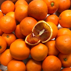 国産ブラッドオレンジマーマレード　無農薬栽培♪ 3枚目の画像
