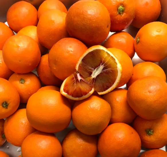 国産ブラッドオレンジマーマレード　無農薬栽培♪ 3枚目の画像
