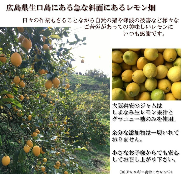 国産ブラッドオレンジマーマレード　無農薬栽培♪ 7枚目の画像