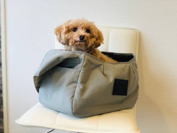 戶外狗狗背袋（灰色/紫色/棕色/淺藍色）S碼 第8張的照片