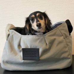 戶外狗狗背袋（灰色/紫色/棕色/淺藍色）S碼 第3張的照片