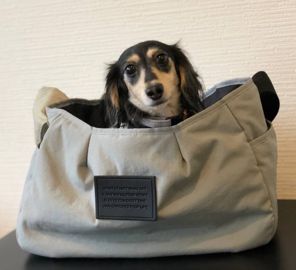 戶外狗狗背袋（灰色/紫色/棕色/淺藍色）S碼 第3張的照片