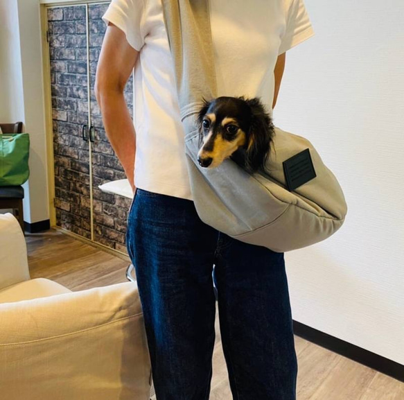 戶外狗狗背袋（灰色/紫色/棕色/淺藍色）S碼 第7張的照片