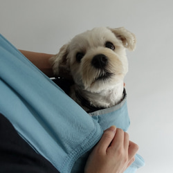 戶外狗狗背袋（灰色/紫色/棕色/淺藍色）S碼 第4張的照片