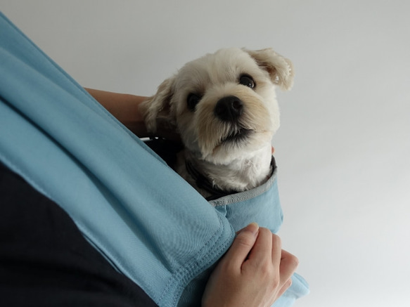 戶外狗狗背袋（灰色/紫色/棕色/淺藍色）S碼 第4張的照片