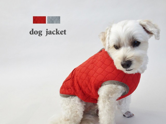 M號絎縫狗外套<藍色>約4公斤至6公斤 第1張的照片