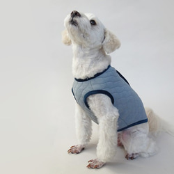 M號絎縫狗外套<藍色>約4公斤至6公斤 第2張的照片