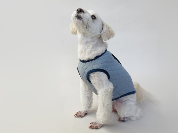 M號絎縫狗外套<藍色>約4公斤至6公斤 第2張的照片