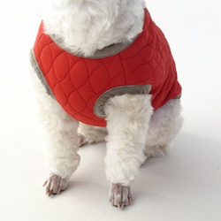 M號絎縫狗外套<藍色>約4公斤至6公斤 第5張的照片