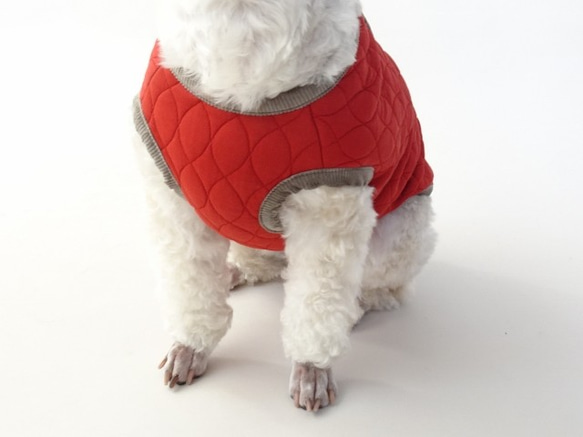 M號絎縫狗外套<藍色>約4公斤至6公斤 第5張的照片