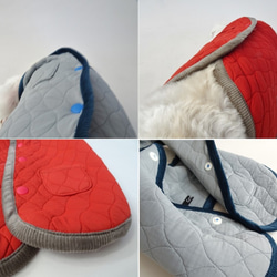 M號絎縫狗外套<藍色>約4公斤至6公斤 第8張的照片