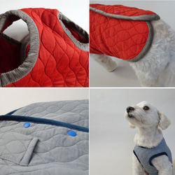 M號絎縫狗外套<藍色>約4公斤至6公斤 第6張的照片