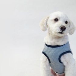 M號絎縫狗外套<藍色>約4公斤至6公斤 第7張的照片