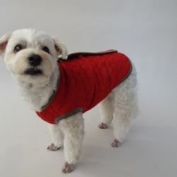 M號絎縫狗外套<藍色>約4公斤至6公斤 第10張的照片