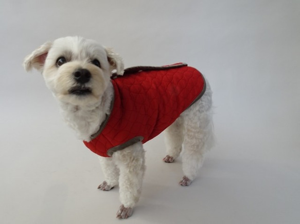 M號絎縫狗外套<藍色>約4公斤至6公斤 第10張的照片