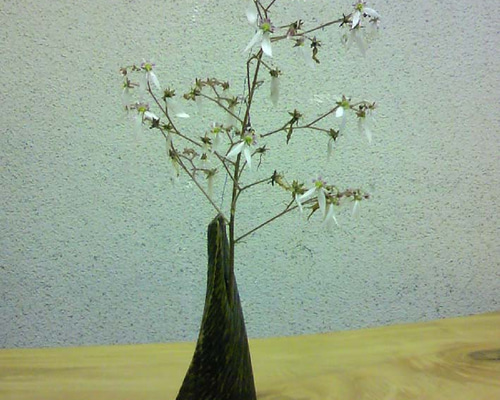 拭き漆ねじれ一輪挿し 一輪挿し・花瓶・花器 kaze no Shirabe 通販