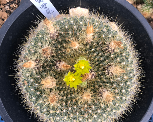 1_c2622307d1288cec8019f672a7d8