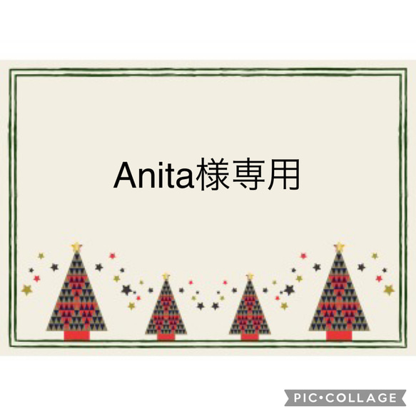 Anita様専用 1枚目の画像