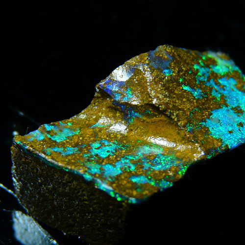 キラキラ遊色！ボルダーオパール原石オーストラリア産y917