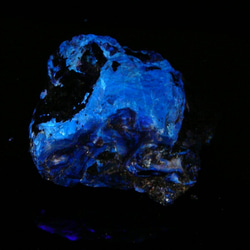 (@_@;)紫外線DE蛍光【スマトラ産】ブルーアンバー（琥珀）　H798 1枚目の画像
