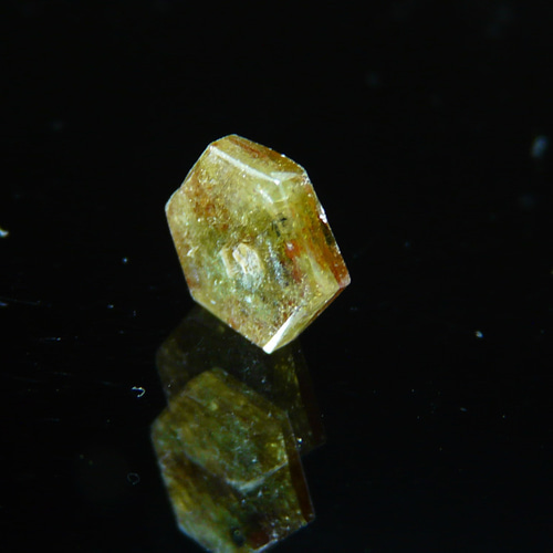 N442 (@_@)ケニア産 ☆ゴールドシンサファイア☆ 金色夜叉かいなぁ