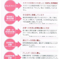 大人可愛い・幅広対応・軽量・ぺたんこ・スリッポン・靴擦れしなくて快適歩行 №1315 10枚目の画像