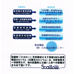 大人天然、療愈鞋、酷材料黑色 [creema 限定] 第6張的照片