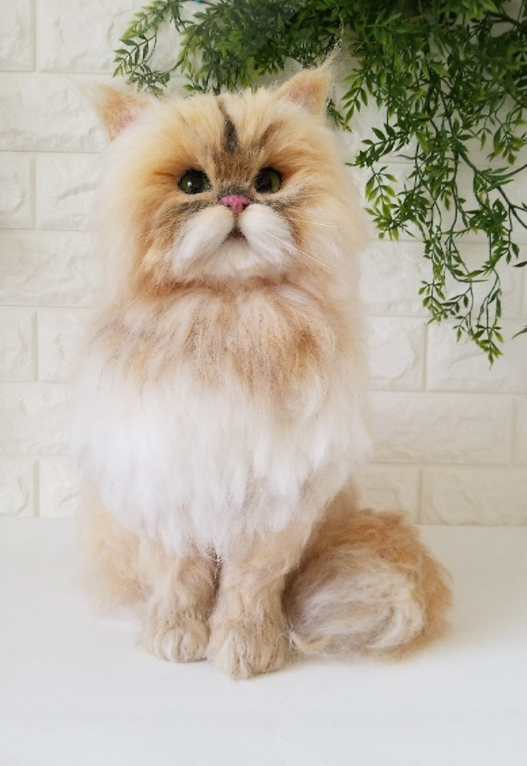 【購入❌】Na.オーダー受付中様用見本画像 ZAPトレカスリーブ(小)OPP W60xH90 5000枚/s | 株式会社ZAP(ザップ