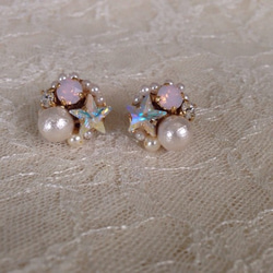 starlight earring / pierce 1枚目の画像