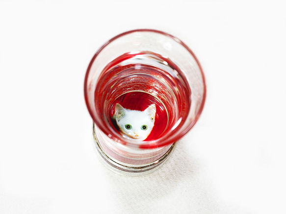 愛猫の写真で作るぐい吞み・螺鈿銀赤【受注制作】 3枚目の画像